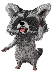 Raccoon Illustration